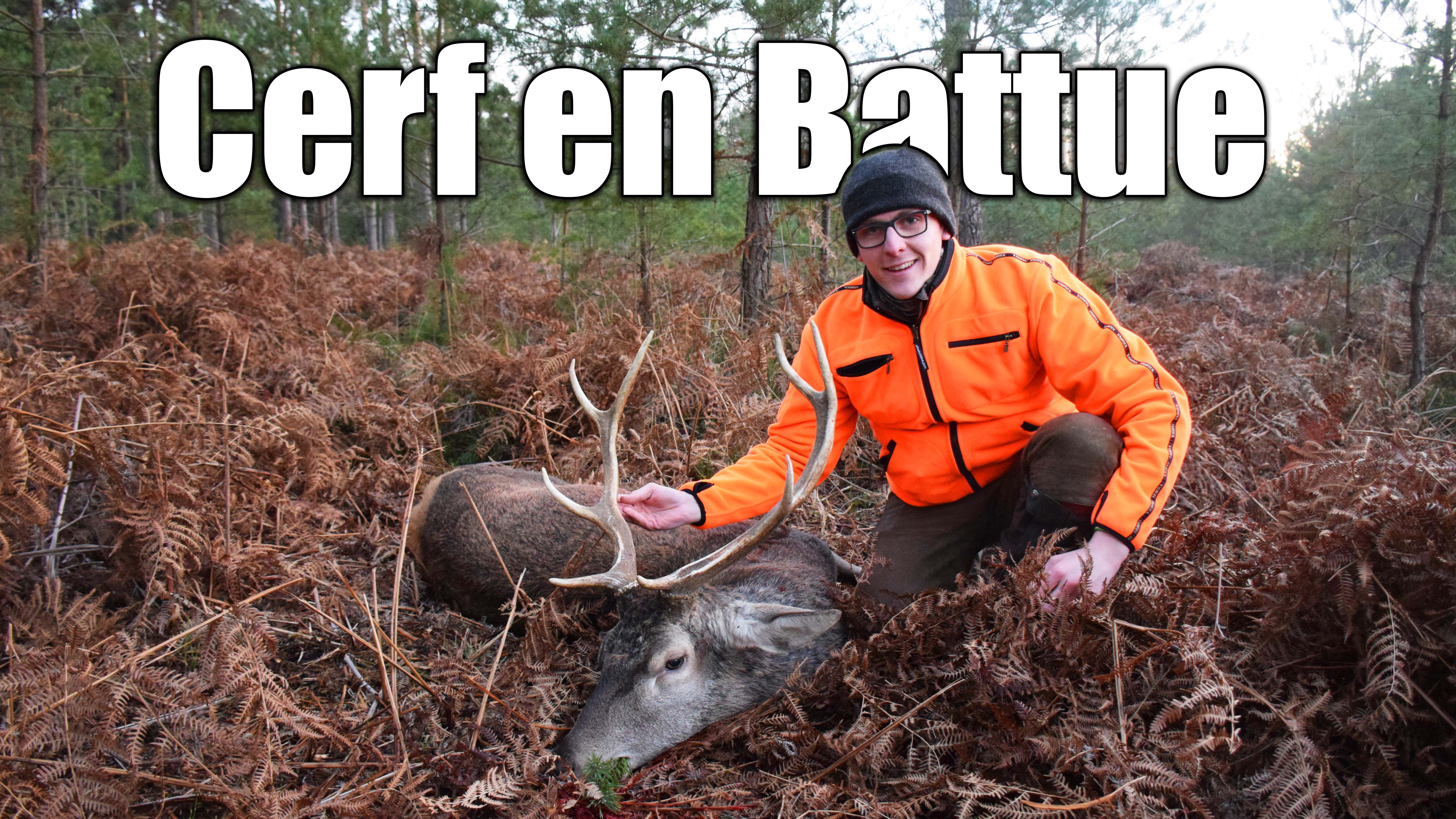 Mon 3ème Cerf en Battue - Émotions fortes - Chasse des Grands Cervidés