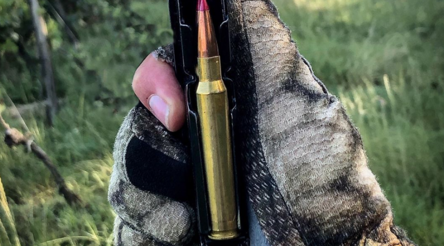 Munition rechargée : Étui Norma Ogive Hornady ELD-X Poudre Reload Swiss .