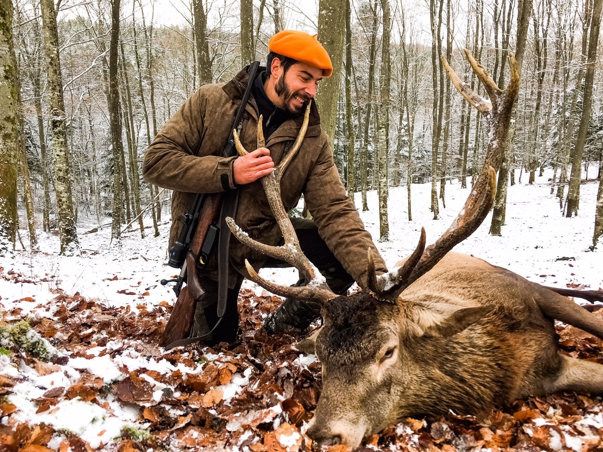 Le roi de la forêt... Rêves de chasse Le roi de la forêt... Rêves de chasse