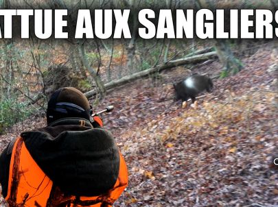 Chasse à l'Arc : Bien Débuter la Saison de Chasse ! Mon Nouvel Arc ! -  Marius Chasse 