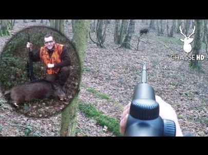 Chasse aux Sangliers : Des Battues Intenses - Chasse HD