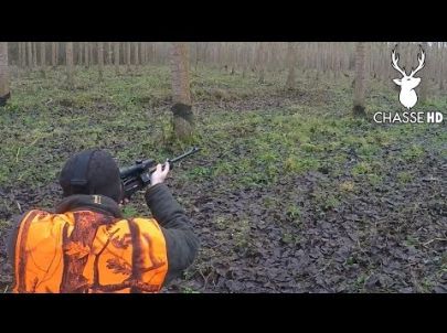 Chasse aux Sangliers en Battue : Le Tir de l'année ! Chasse HD