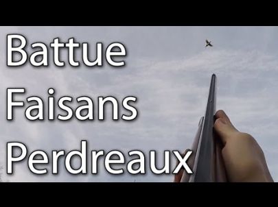 Chasse du Petit Gibier en Battue au Poste - Chasse HD