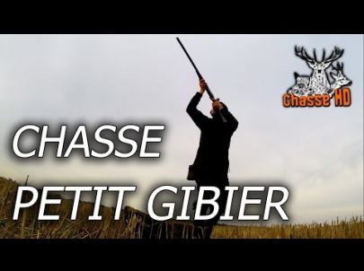 Belles chasses aux petits gibiers - Chiens d'arrets - Chasse HD