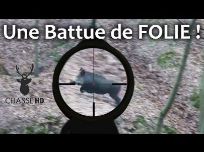 Chasse au Sanglier : une Battue de Rêve ! Amazing Driven Wildboar - Chasse HD