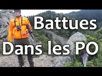 Carnet de chasse EP2 - Chasse au Sanglier en Battue dans le Sud - Chasse HD