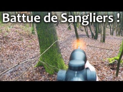 Chasse au Sanglier en battue: Les compagnies à mon poste ! Chasse HD