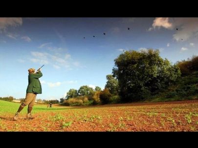 Chasse du Petit Gibier entre amis - Chasse HD