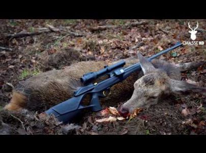 Chasse en Battue : Les Cervidés au rendez-vous ! Chasse HD