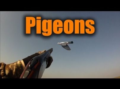 Chasse aux Pigeons - Ouverture 2013 - Caméras embarquées !