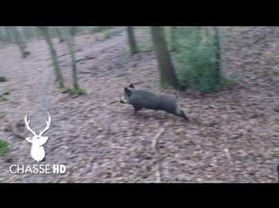 Quelle Caméra Embarquée choisir pour la Chasse au Sanglier ? Chasse HD