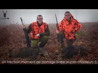 Chasse en Battue de Sangliers - Scènes de Chasse au poste ! Chasse HD