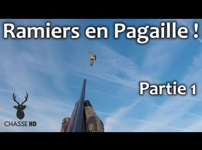 Superbe matinée de Chasse aux Pigeons Ramiers - Partie 1 - Chasse HD